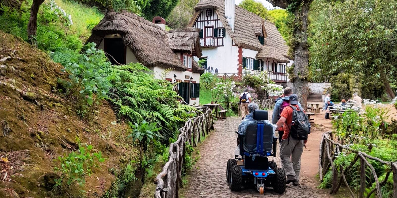 Levada das Queimadas Accessible Tour